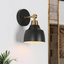 Hyelducc 1-Light Black and Brass Vanity Light