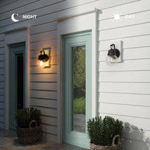 Aestivate 11"H 1-Light Black Outdoor Wall Light