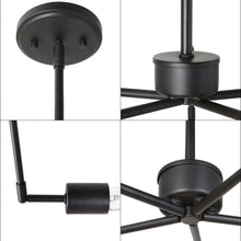 Cyphostemma 5-Light 24.5" Modern Black Chandelier, Unique Radial