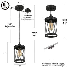 Selenicereus 1-Light Mini Silver Industrial Pendant Light Fixtures