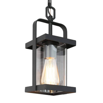 Pseudochromis 1-Light Mini Black Outdoor Pendant Light