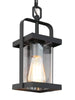 Pseudochromis 1-Light Mini Black Outdoor Pendant Light