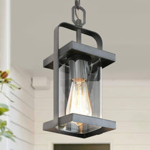 Pseudochromis 1-Light Mini Black Outdoor Pendant Light