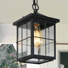 Bioeasdera 1-Light Frosted Black Outdoor Black Pendant Light