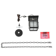 Bioeasdera 1-Light Frosted Black Outdoor Black Pendant Light