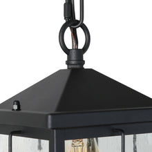 Bioeasdera 1-Light Frosted Black Outdoor Black Pendant Light