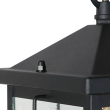 Bioeasdera 1-Light Frosted Black Outdoor Black Pendant Light