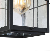 Bioeasdera 1-Light Frosted Black Outdoor Black Pendant Light