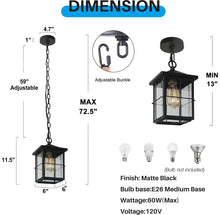 Bioeasdera 1-Light Frosted Black Outdoor Black Pendant Light