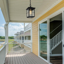 Bioeasdera 1-Light Frosted Black Outdoor Black Pendant Light