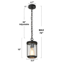 Zoriluna 1-Light Mini Black Outdoor Pendant Light