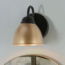 1-Light Black and Gold Vanity Light