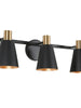 Bangnior 3-Light Black and Brass Vanity Light