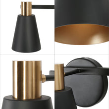 Bangnior 3-Light Black and Brass Vanity Light