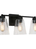 Barry 3-Light Black Vanity Light