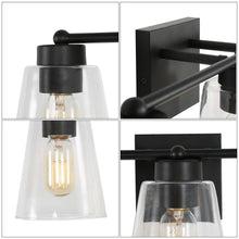 Barry 3-Light Black Vanity Light