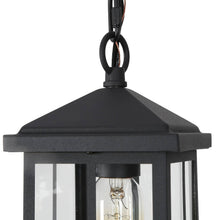 Acbolomew 1-Light Transitional Brushed Black Outdoor Pendant Light