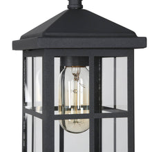 Acbolomew 1-Light Transitional Brushed Black Outdoor Pendant Light