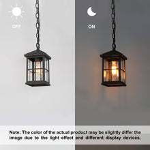 Acbolomew 1-Light Transitional Brushed Black Outdoor Pendant Light