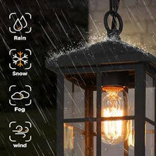 Acbolomew 1-Light Transitional Brushed Black Outdoor Pendant Light