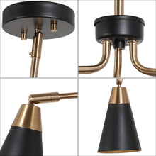 Anthurium 3-Light 22" Modern Black Chandelier,