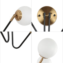 Betonicifolia 2-Light Black & Gold Wall Sconces with Globe Glass