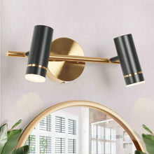 Floeice 2-Light Black and Brass LED Vanity Light