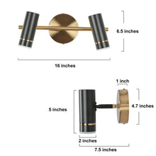 Floeice 2-Light Black and Brass LED Vanity Light