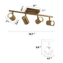 Serrulata 4-Light Brass Track Kit