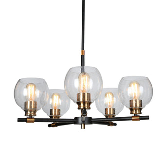 Gary 5-Light 24" Modern Globe Glass Black Chandelier, Radial