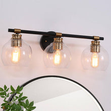 Amaryllis 3-Light Black and Brass Vanity Light