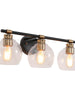 Amaryllis 3-Light Black and Brass Vanity Light