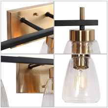 Rhododendron 3-Light Black and Brass Vanity Light