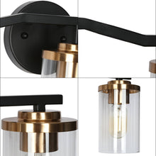 Carrots 3-Light Black and Brass Vanity Light