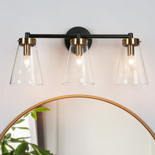 Deferoiry 3-Light Black and Brass Vanity Light