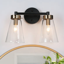 Deferoiry 2-Light Black and Brass Vanity Light