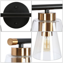 Aurelienne 3-Light Black and Brass Vanity Light