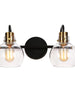 Luffa 2-Light Black and Brass Vanity Light