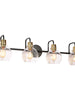 Luffa 4-Light Black and Brass Vanity Light