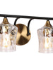 Druggiming 2-Light Black and Brass Vanity Light