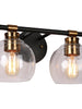 Amaryllis 2-Light Black and Brass Vanity Light