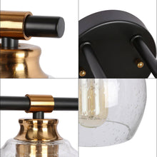 Amaryllis 2-Light Black and Brass Vanity Light