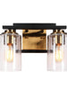 Hormosira 2-Light Black and Brass Vanity Light