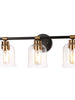 Chayote 3-Light Black and Brass Vanity Light