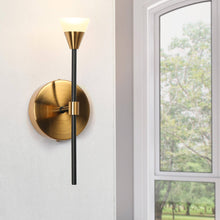 Cepeaul 1-Light Modern Black & Gold Wallchiere LED Wall Sconces