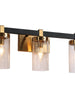 Sean 3-Light Black and Brass Vanity Light