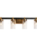 Sean 4-Light Black and Brass Vanity Light