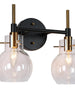 Aiglitis 2-Light Black and Brass Vanity Light