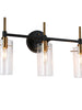 Crassula 3-Light Black and Brass Vanity Light