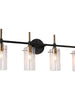 Crassula 4-Light Black and Brass Vanity Light